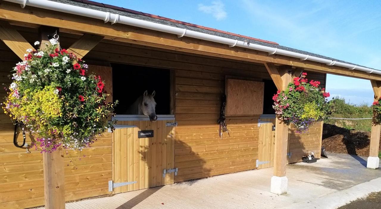 Rosebank Barn Villa Brentor Eksteriør billede